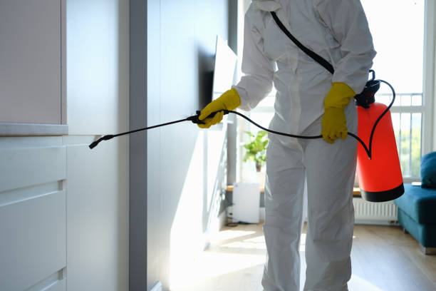 Huntington Park, CA Mold Removal Company
